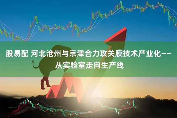 股易配 河北沧州与京津合力攻关膜技术产业化—— 从实验室走向生产线